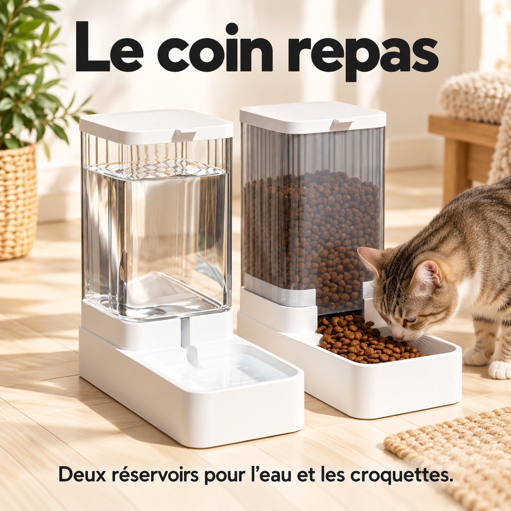 Distributeur automatique d'eau et de croquettes