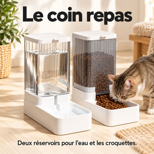 Distributeur automatique d'eau et de croquettes