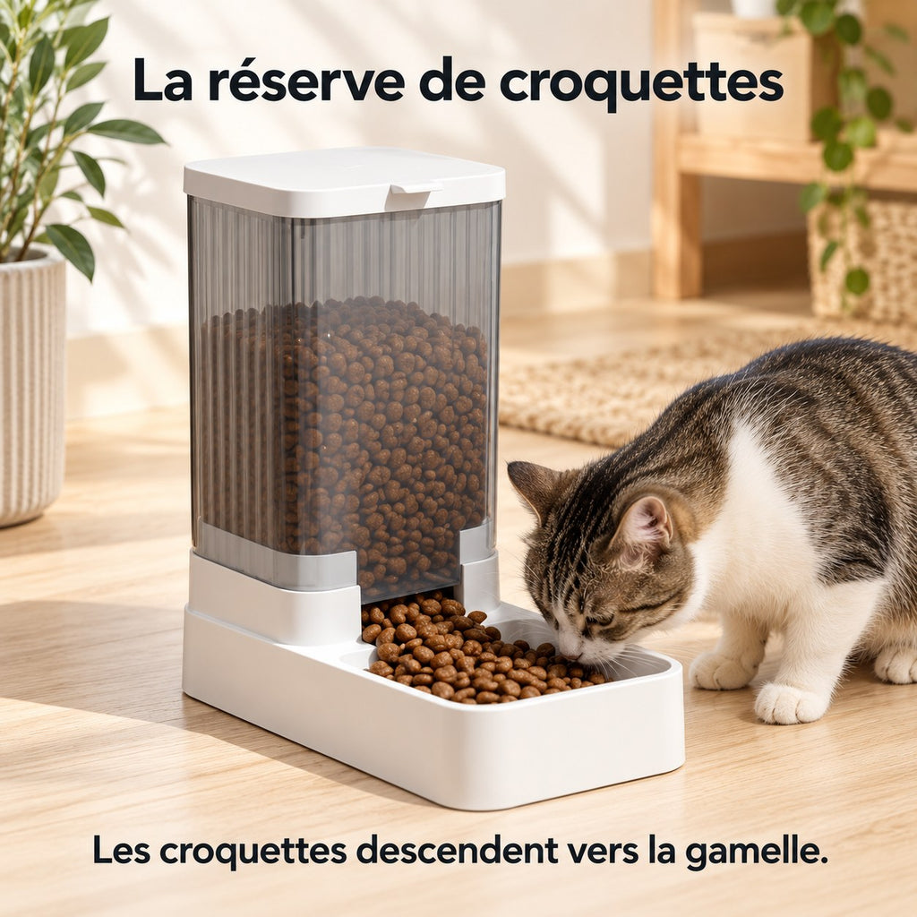 Distributeur automatique d'eau et de croquettes