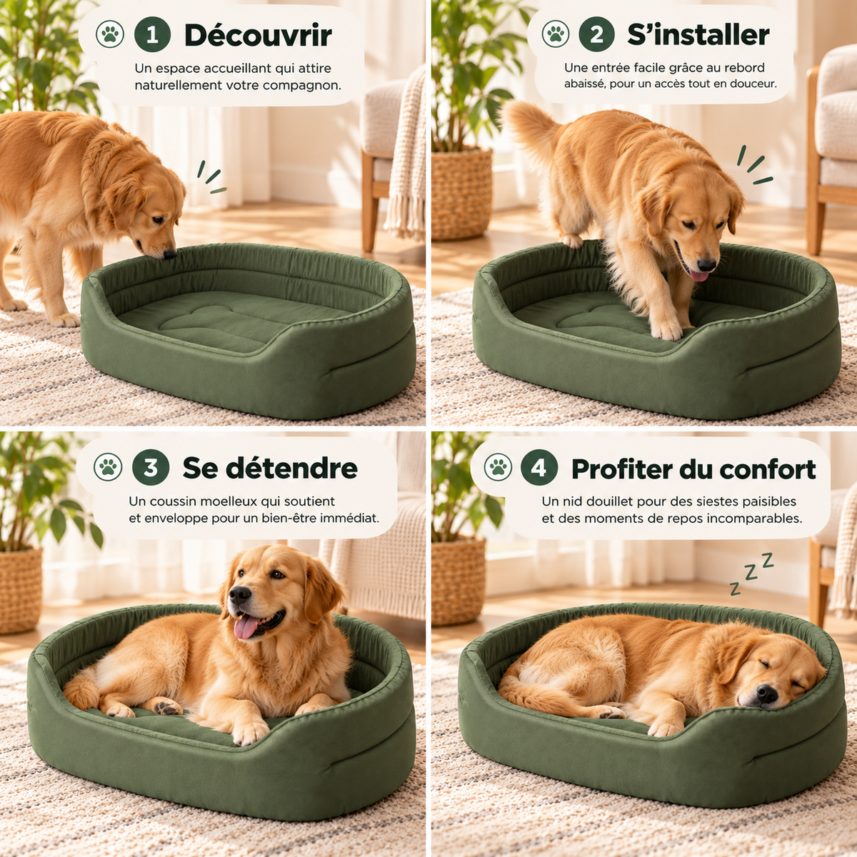 Lit douillet pour chien