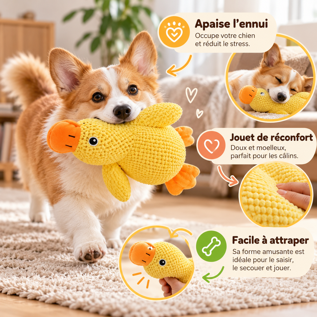 Peluche canard câlin pour chien