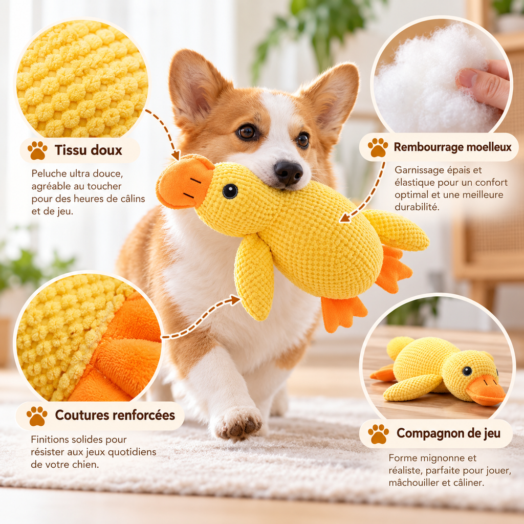 Peluche canard câlin pour chien