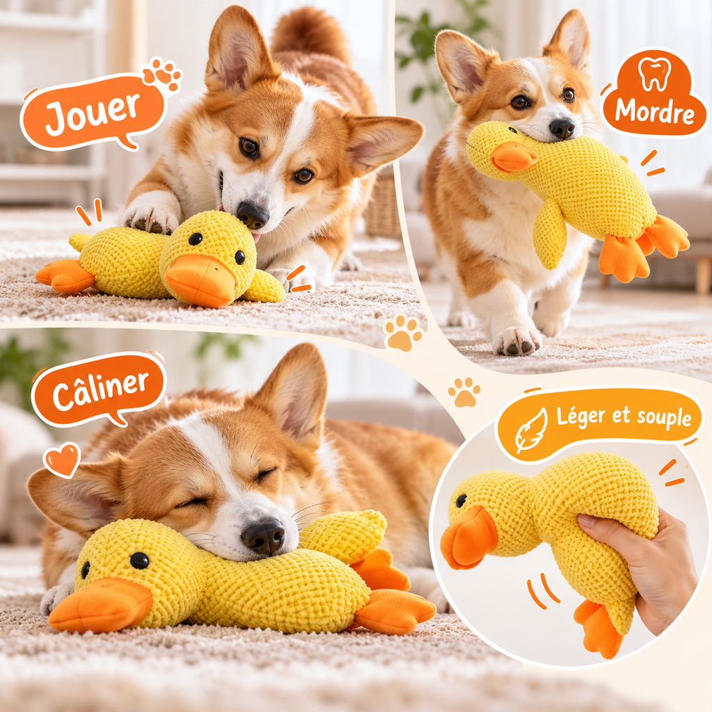Peluche canard câlin pour chien