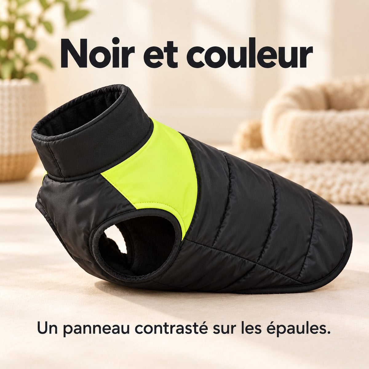 Veste chaude pour chien